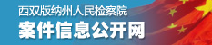 案件信息公開網